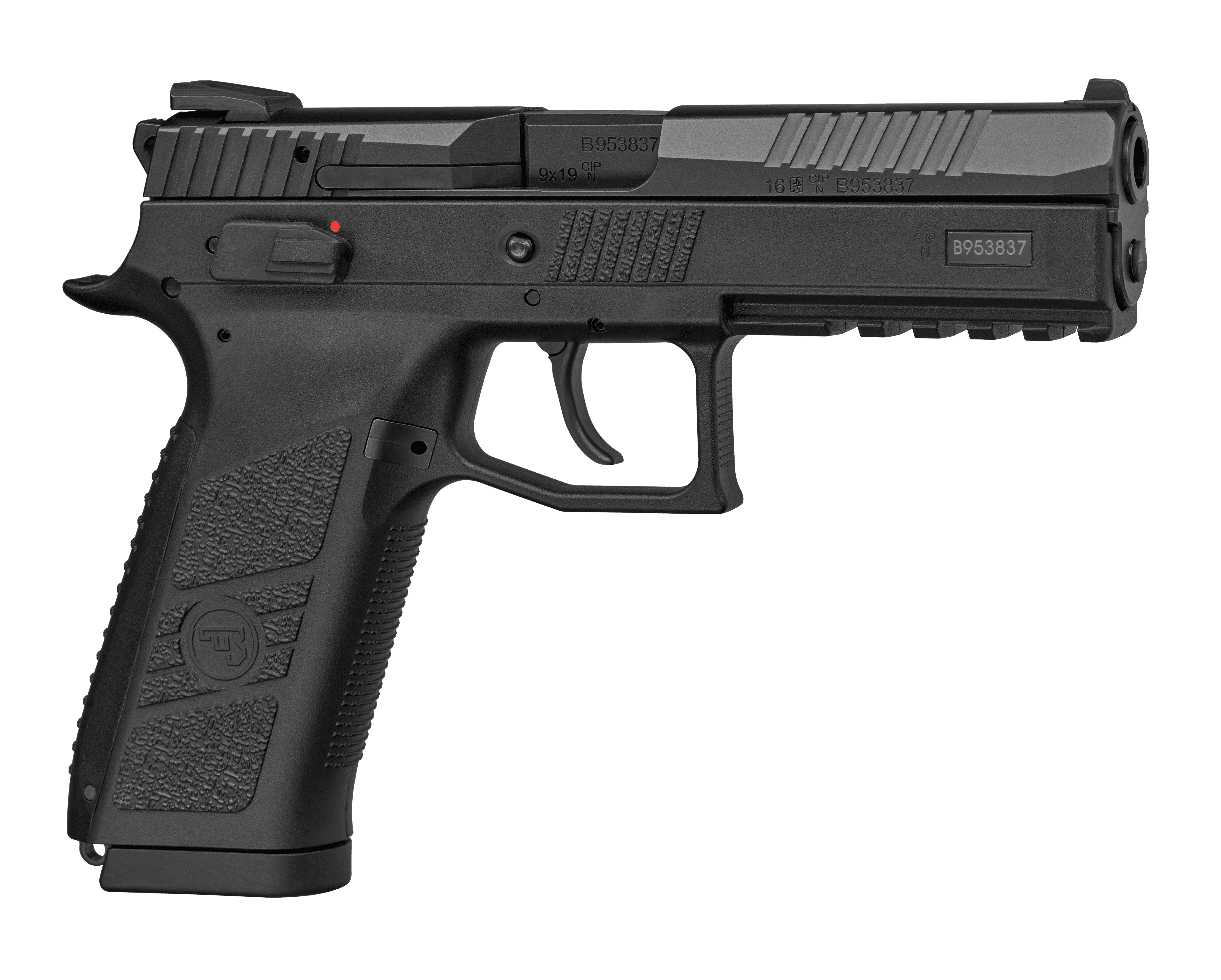さかな CZ P・09 CZ P-09